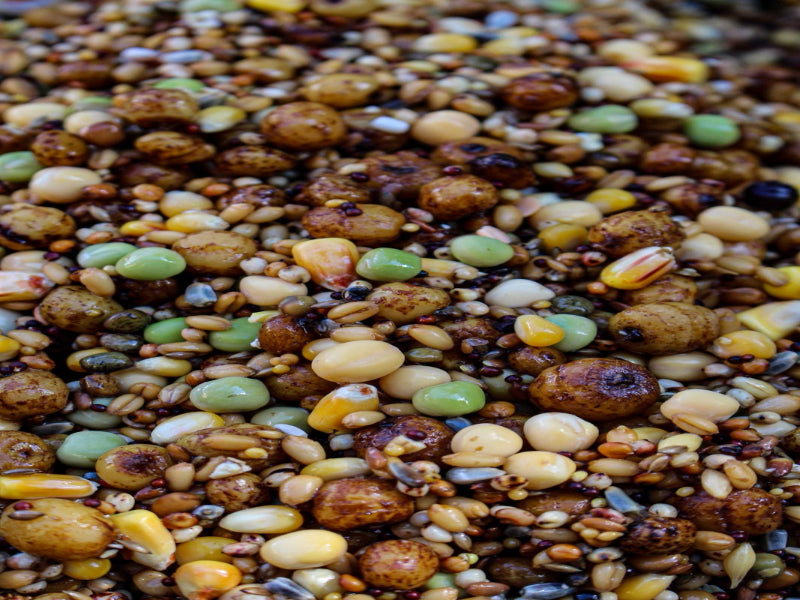 Partikel Mix gekocht