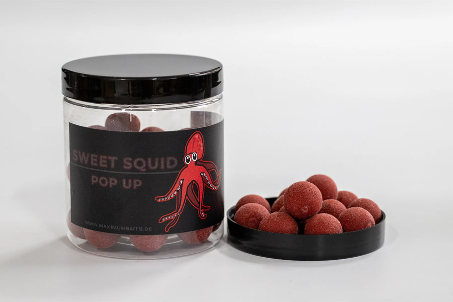 Sweet Squid Pop Up